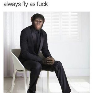 Meet your Posher, Kayron